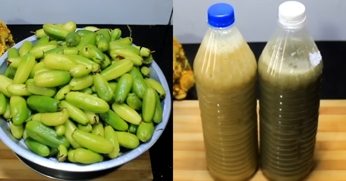 Homemade Dish Wash Liquid Making