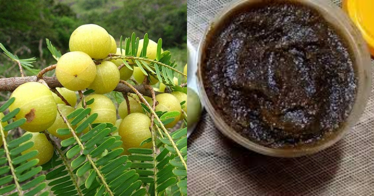 Nellikka Lehyam Making