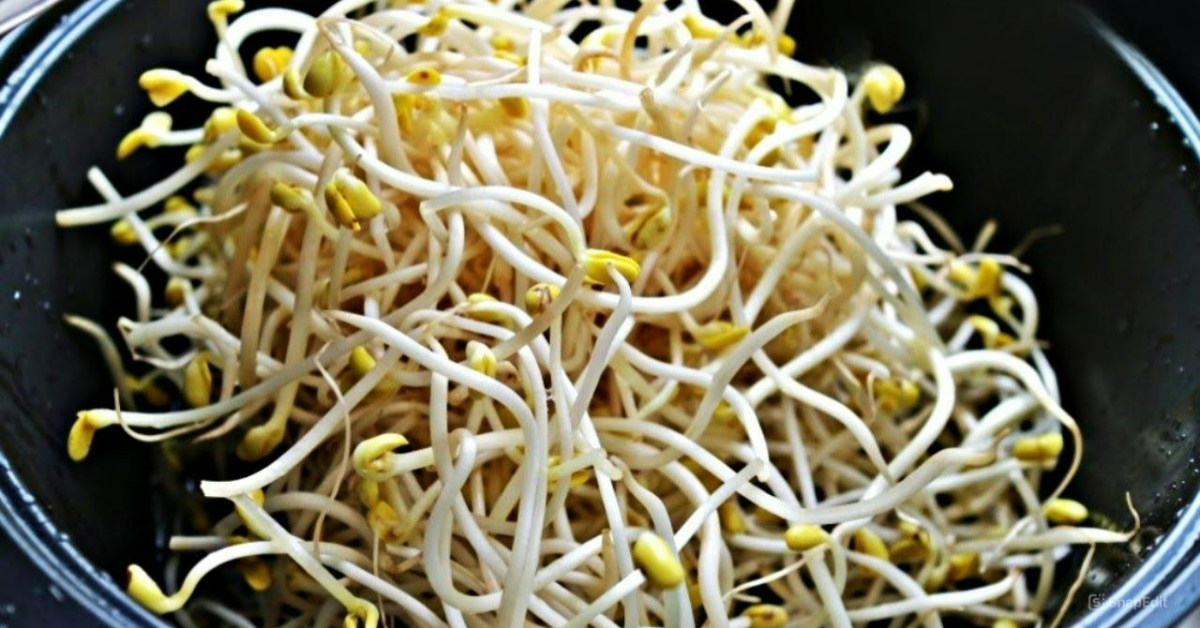 Uluva Mulappichathu Health Benefits