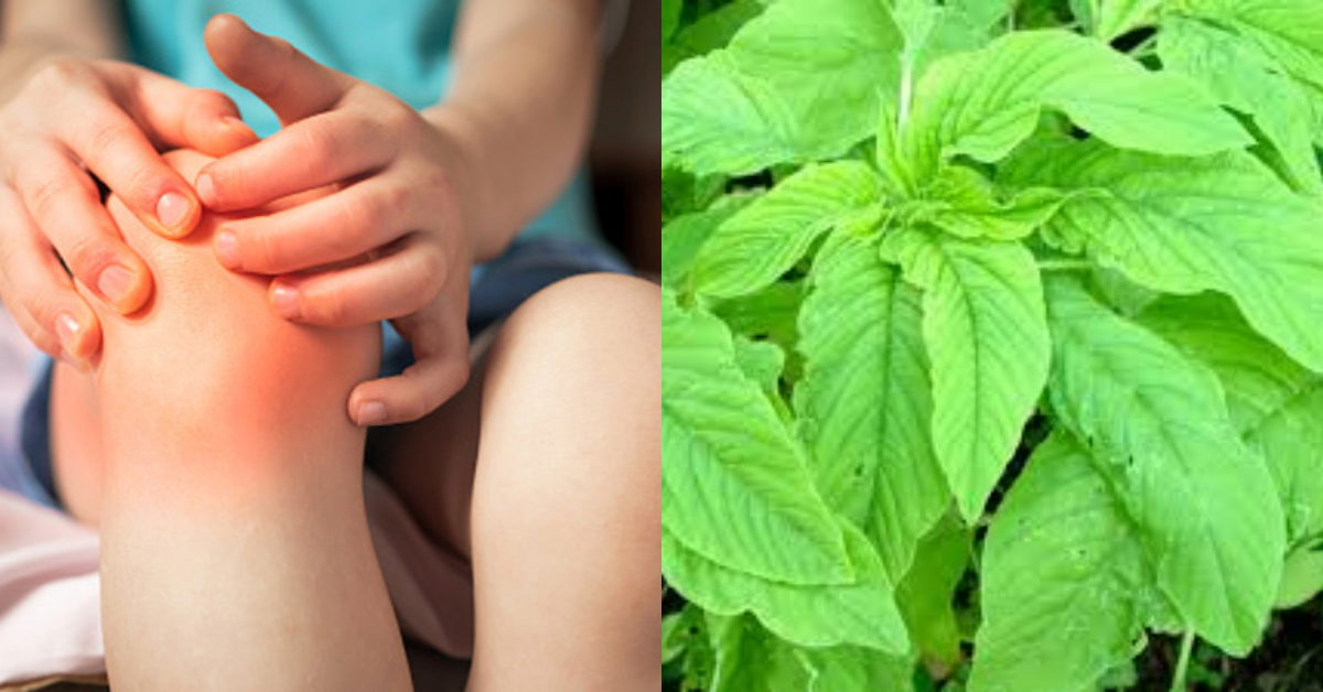 Calcium Deficiency Treatment At Home