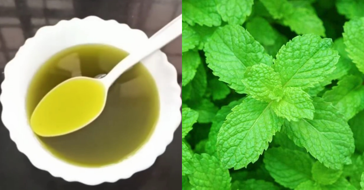 Mint leaf health benefits