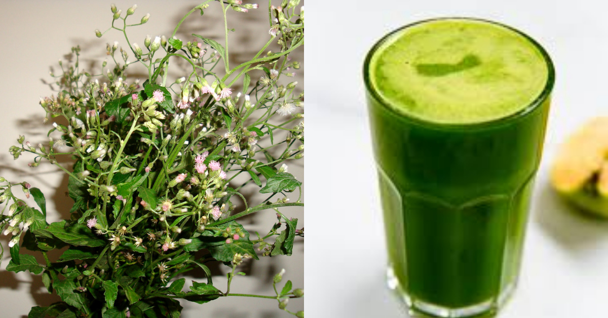 migraine relief at naturally