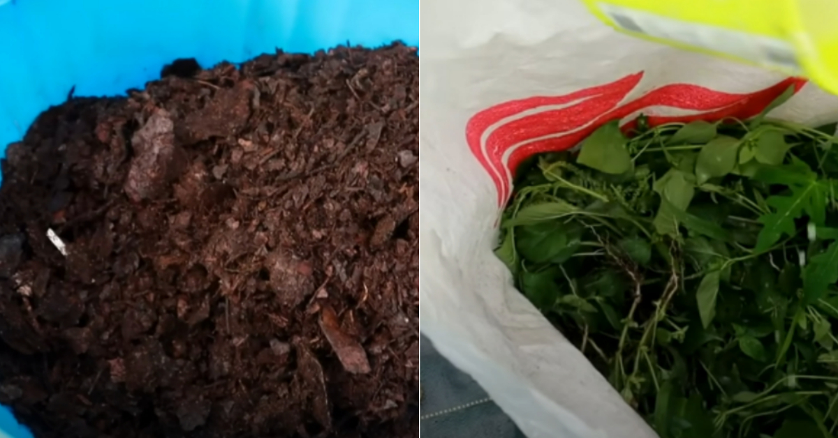 Easy Zero Cost Fertilizer Making