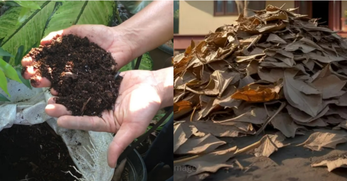 How To Make Compost Easliy