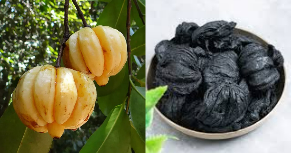 Preserving Dried Kudampuli For Long Time